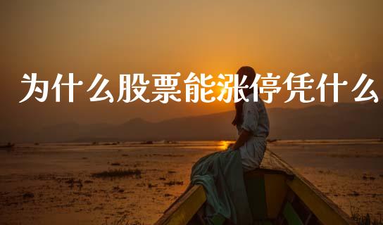 为什么股票能涨停凭什么_https://m.fansifence.com_贵金属行情_第1张