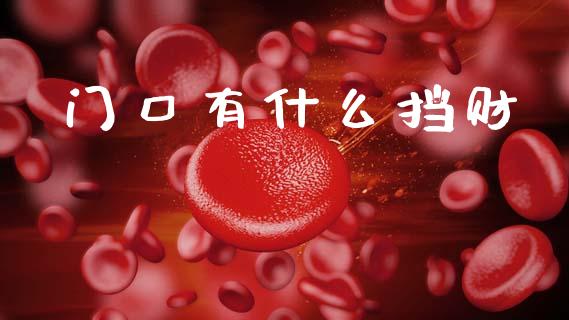 门口有什么挡财_https://m.fansifence.com_公募基金_第1张