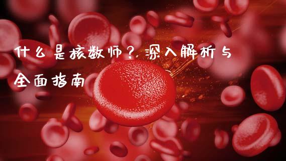 什么是核数师？深入解析与全面指南_https://m.fansifence.com_消费金融_第1张