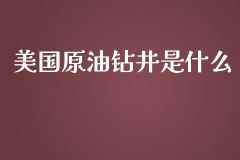 美国原油钻井是什么_https://m.fansifence.com_消费金融_第1张