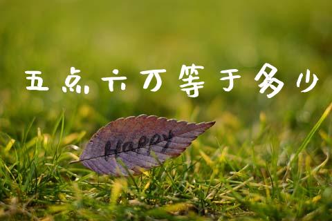 五点六万等于多少_https://m.fansifence.com_公募基金_第1张