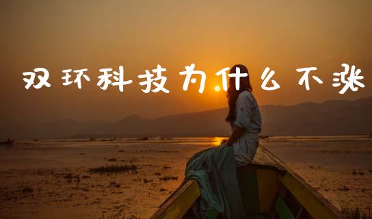 双环科技为什么不涨_https://m.fansifence.com_公募基金_第1张
