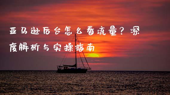 亚马逊后台怎么看流量？深度解析与实操指南_https://m.fansifence.com_消费金融_第1张