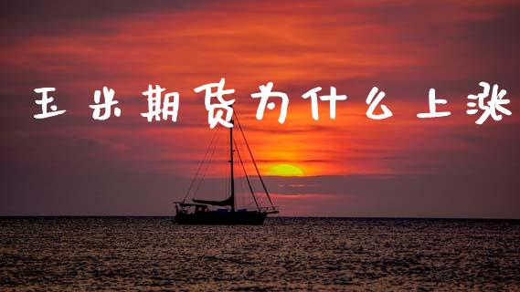 玉米期货为什么上涨_https://m.fansifence.com_个股行情_第1张