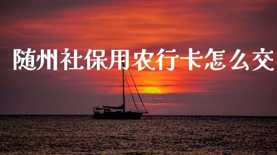 随州社保用农行卡怎么交_https://m.fansifence.com_消费金融_第1张