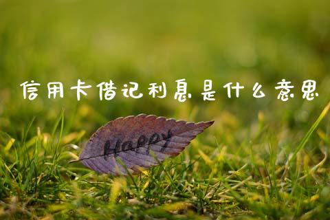 信用卡借记利息是什么意思_https://m.fansifence.com_贵金属行情_第1张