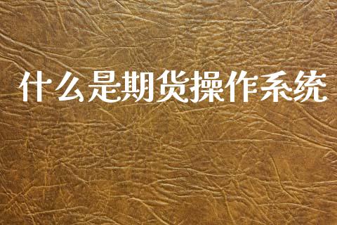 什么是期货操作系统_https://m.fansifence.com_个股行情_第1张