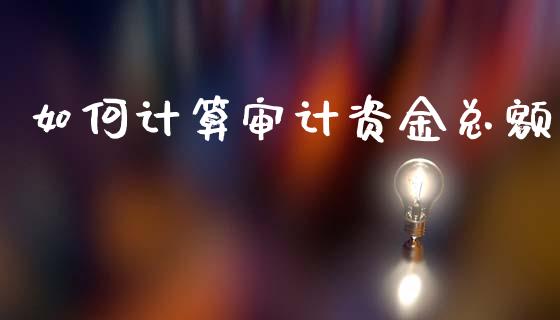 如何计算审计资金总额_https://m.fansifence.com_消费金融_第1张