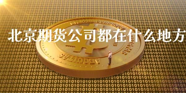 北京期货公司都在什么地方_https://m.fansifence.com_消费金融_第1张