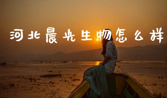 河北晨光生物怎么样_https://m.fansifence.com_消费金融_第1张