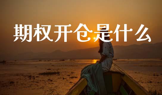 期权开仓是什么_https://m.fansifence.com_消费金融_第1张