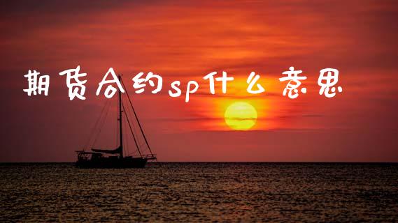 期货合约sp什么意思_https://m.fansifence.com_公募基金_第1张