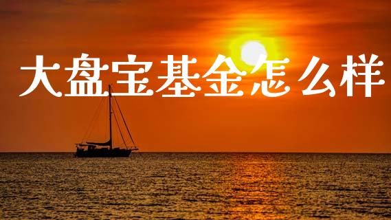大盘宝基金怎么样_https://m.fansifence.com_贵金属行情_第1张
