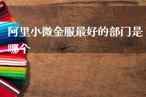 阿里小微金服最好的部门是哪个_https://m.fansifence.com_个股行情_第1张