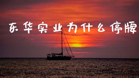 东华实业为什么停牌_https://m.fansifence.com_消费金融_第1张