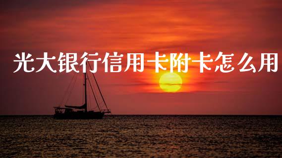 光大银行信用卡附卡怎么用_https://m.fansifence.com_个股行情_第1张