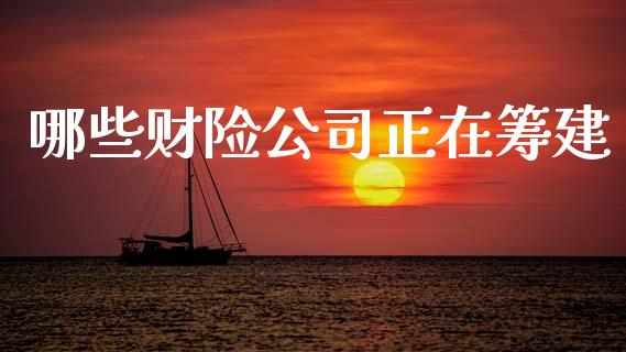 哪些财险公司正在筹建_https://m.fansifence.com_贵金属行情_第1张