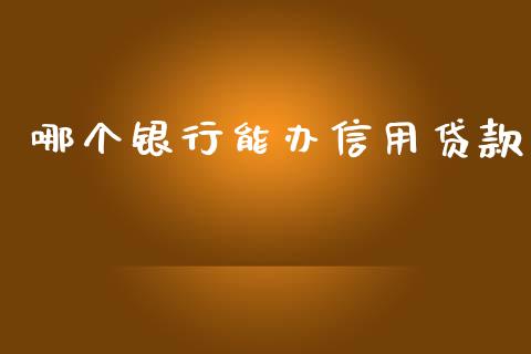 哪个银行能办信用贷款_https://m.fansifence.com_公募基金_第1张