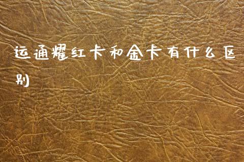 运通耀红卡和金卡有什么区别_https://m.fansifence.com_消费金融_第1张