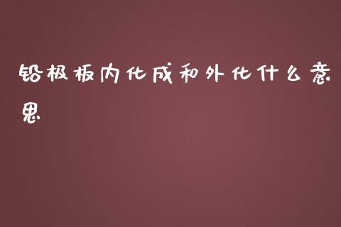 铅极板内化成和外化什么意思_https://m.fansifence.com_公募基金_第1张