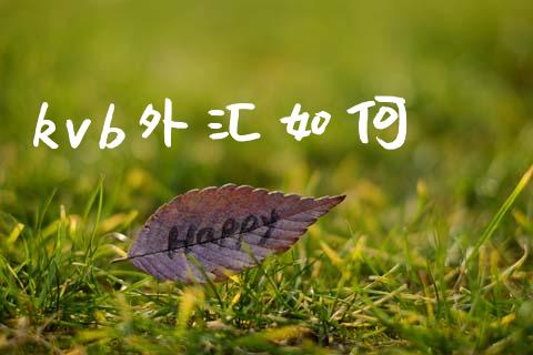 kvb外汇如何_https://m.fansifence.com_消费金融_第1张