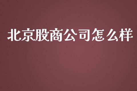 北京股商公司怎么样_https://m.fansifence.com_公募基金_第1张