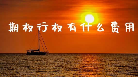 期权行权有什么费用_https://m.fansifence.com_消费金融_第1张