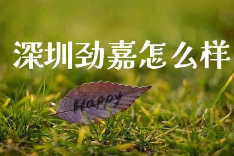 深圳劲嘉怎么样_https://m.fansifence.com_消费金融_第1张