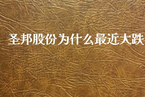 圣邦股份为什么最近大跌_https://m.fansifence.com_公募基金_第1张