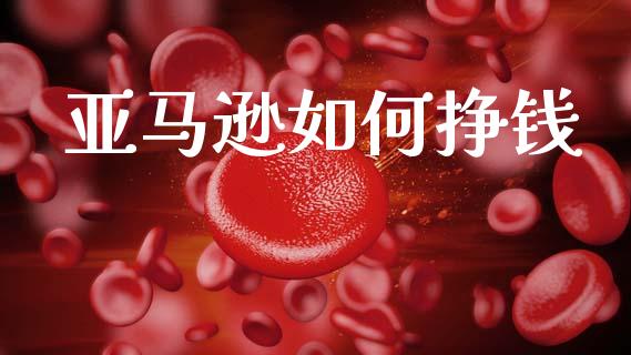 亚马逊如何挣钱_https://m.fansifence.com_公募基金_第1张