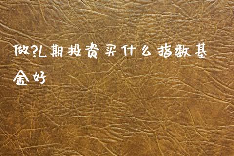 做?L期投资买什么指数基金好_https://m.fansifence.com_公募基金_第1张