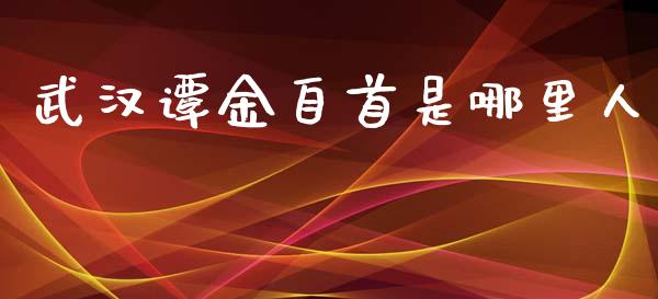 武汉谭金自首是哪里人_https://m.fansifence.com_公募基金_第1张