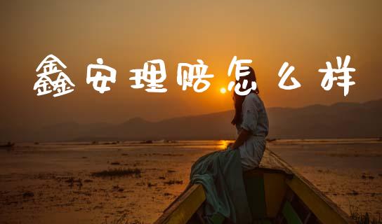 鑫安理赔怎么样_https://m.fansifence.com_消费金融_第1张