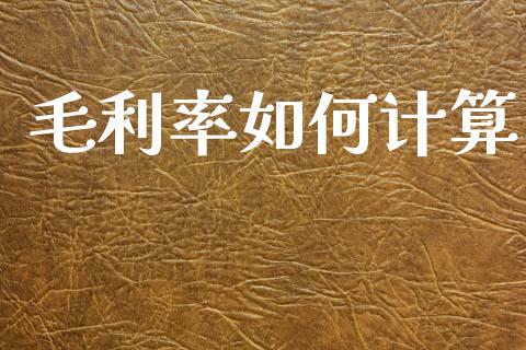 毛利率如何计算_https://m.fansifence.com_个股行情_第1张