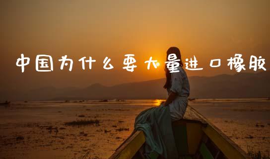 中国为什么要大量进口橡胶_https://m.fansifence.com_公募基金_第1张