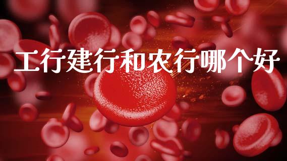 工行建行和农行哪个好_https://m.fansifence.com_公募基金_第1张