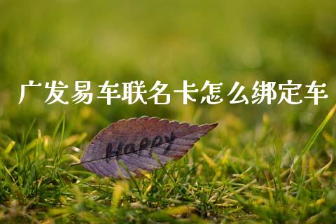 广发易车联名卡怎么绑定车_https://m.fansifence.com_消费金融_第1张