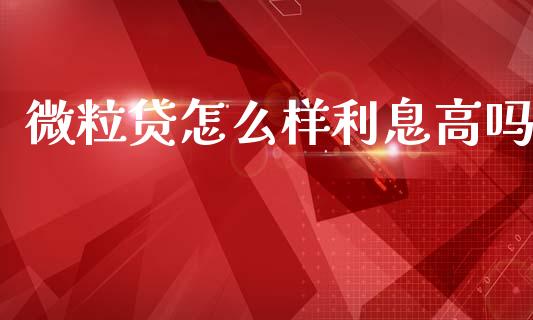 微粒贷怎么样利息高吗_https://m.fansifence.com_公募基金_第1张