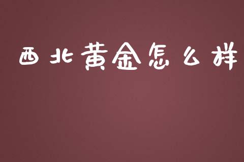 西北黄金怎么样_https://m.fansifence.com_公募基金_第1张