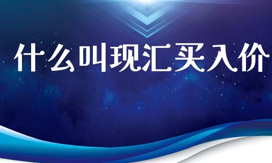 什么叫现汇买入价_https://m.fansifence.com_公募基金_第1张