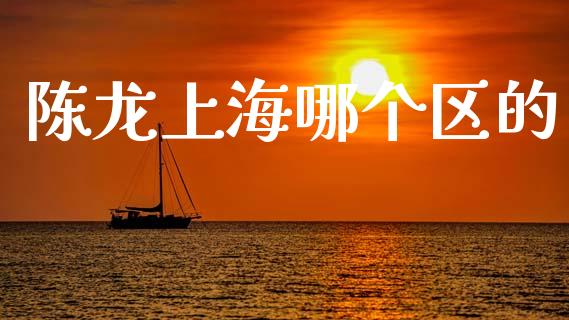 陈龙上海哪个区的_https://m.fansifence.com_消费金融_第1张