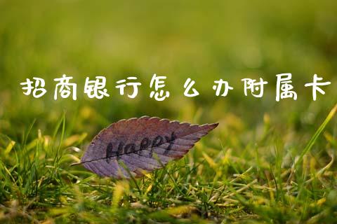 招商银行怎么办附属卡_https://m.fansifence.com_公募基金_第1张