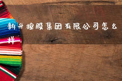 韵升控股集团有限公司怎么样_https://m.fansifence.com_消费金融_第1张