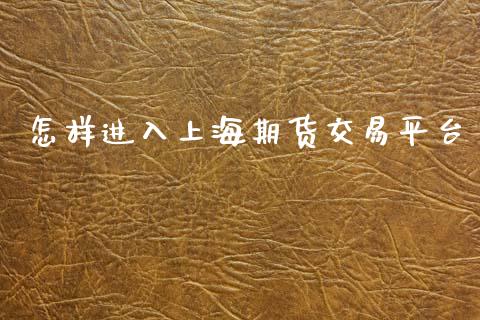 怎样进入上海期货交易平台_https://m.fansifence.com_消费金融_第1张