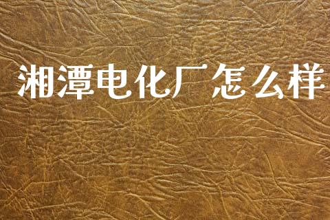 湘潭电化厂怎么样_https://m.fansifence.com_公募基金_第1张