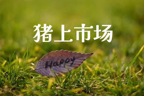 猪上市场_https://m.fansifence.com_个股行情_第1张