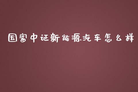 国富中证新能源汽车怎么样_https://m.fansifence.com_贵金属行情_第1张