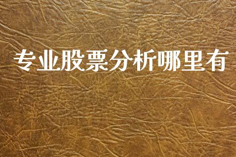 专业股票分析哪里有_https://m.fansifence.com_消费金融_第1张
