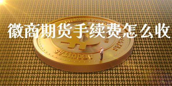 徽商期货手续费怎么收_https://m.fansifence.com_消费金融_第1张
