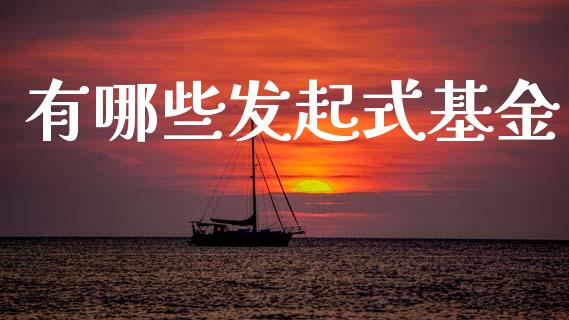 有哪些发起式基金_消费金融_第1张_个股行情_消费金融_贵金属行情_公募基金 有哪些发起式基金_https://m.fansifence.com_消费金融_第1张